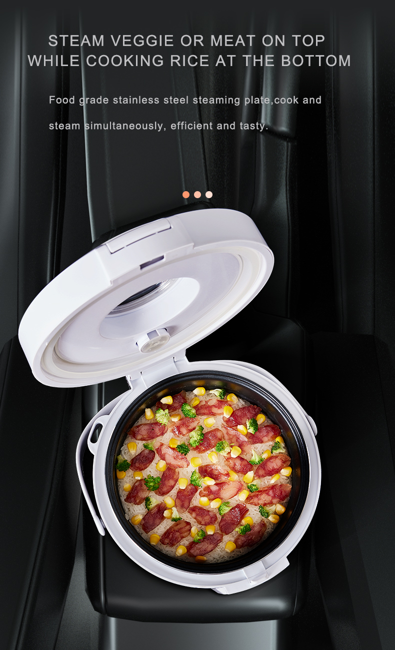 24V Rijstkoker Truck Soepstoom - Camping No Cooking Meals recensie en prijs