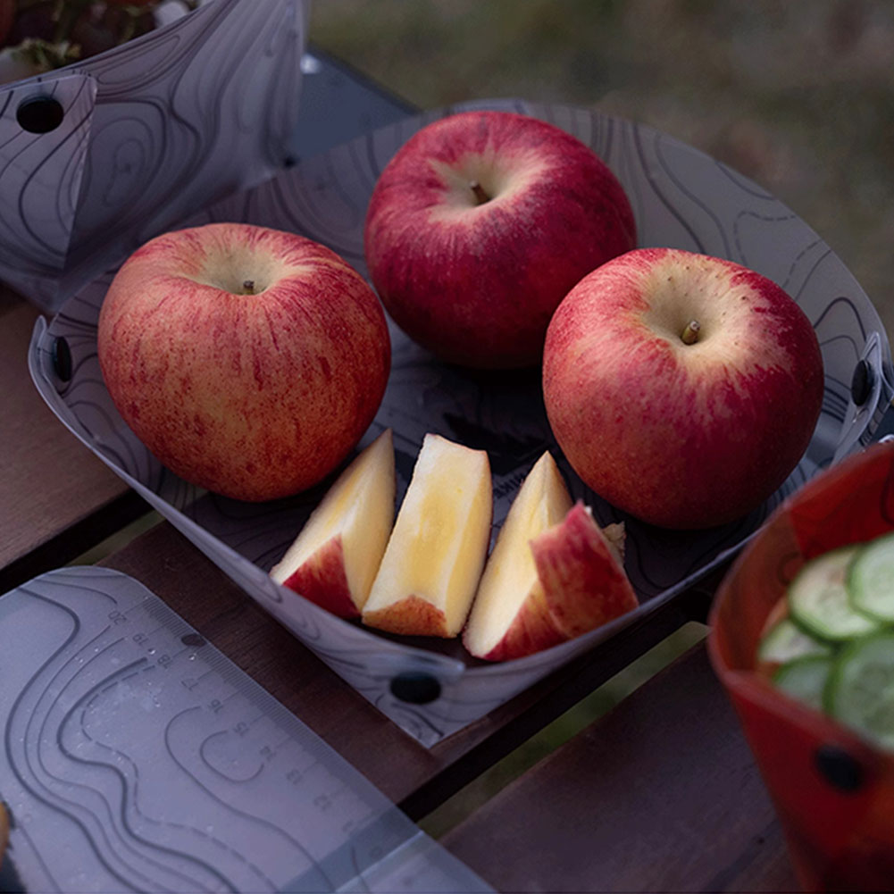 Outdoor lichtgewicht opvouwbaa - Camping Cooking Plate recensie en prijs